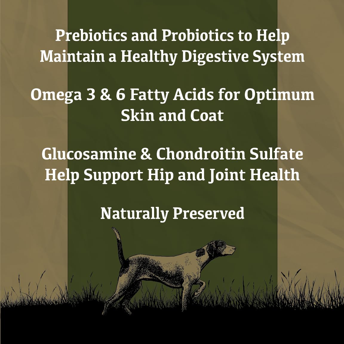 Sportsman's Pride Classic 24/20 High Energy Dry Dog Food, 40-lb Bag