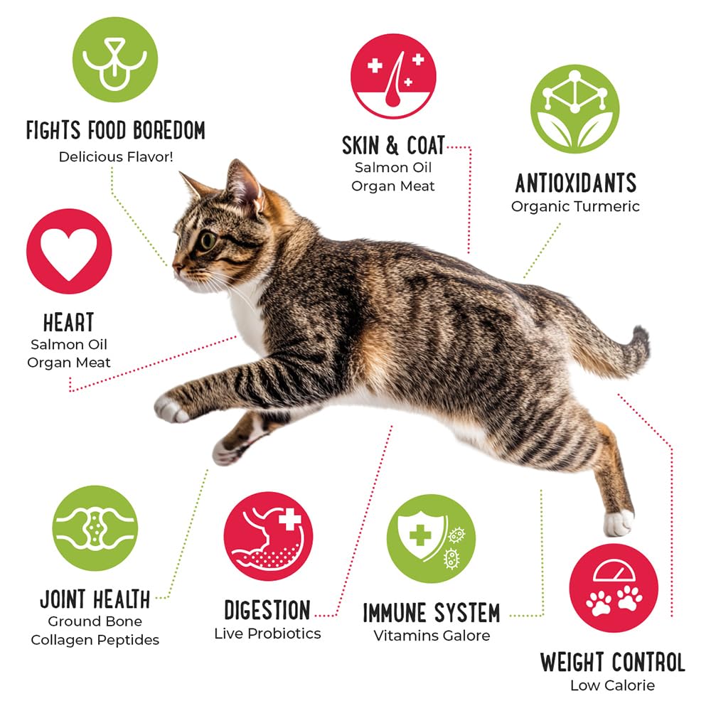iHeartCats Nutrition Boost Beef Cat Food Topper & Seasoning - Tasty Freeze Dried Beef with Probiotics, Collagen, Salmon Oil, Blueberries & Carrots - 5 oz