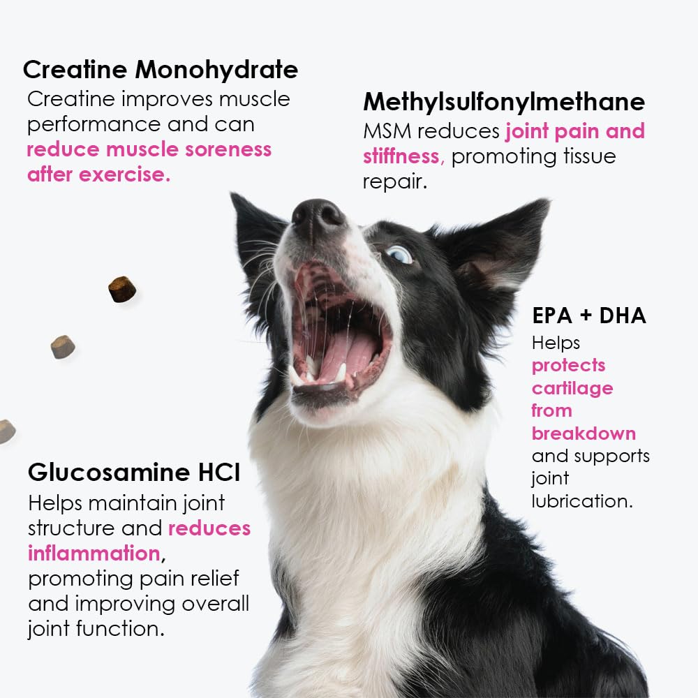 Hemp + Glucosamine + Calming Treats for Dogs Bundle - Joint Pain Relief + Anxiety Relief - Hemp Oil + Chondroitin, w/MSM + Omega 3 - Hip & Joint Supplement + Stress Relief - 240 Chews - Made in USA