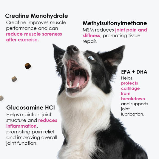 Hemp + Glucosamine + Calming Treats for Dogs Bundle - Joint Pain Relief + Anxiety Relief - Hemp Oil + Chondroitin, w/MSM + Omega 3 - Hip & Joint Supplement + Stress Relief - 240 Chews - Made in USA