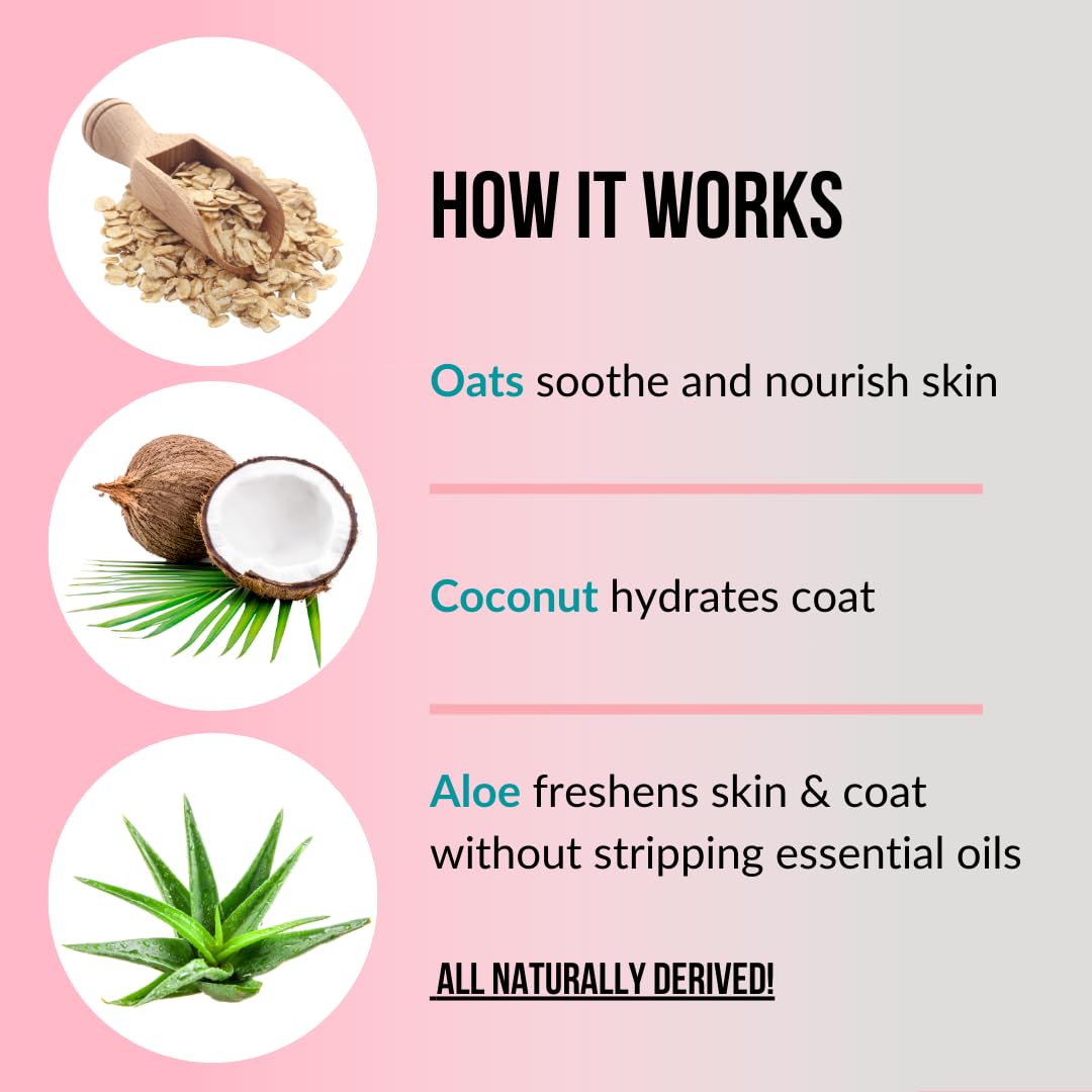 PET CARE Sciences 16 fl oz Tearless Puppy Shampoo and Conditioner - Anti Itch Dog Shampoo Sensitive Skin - Coconut Oil Oatmeal Pet Shampoo for Puppies, Made in The USA