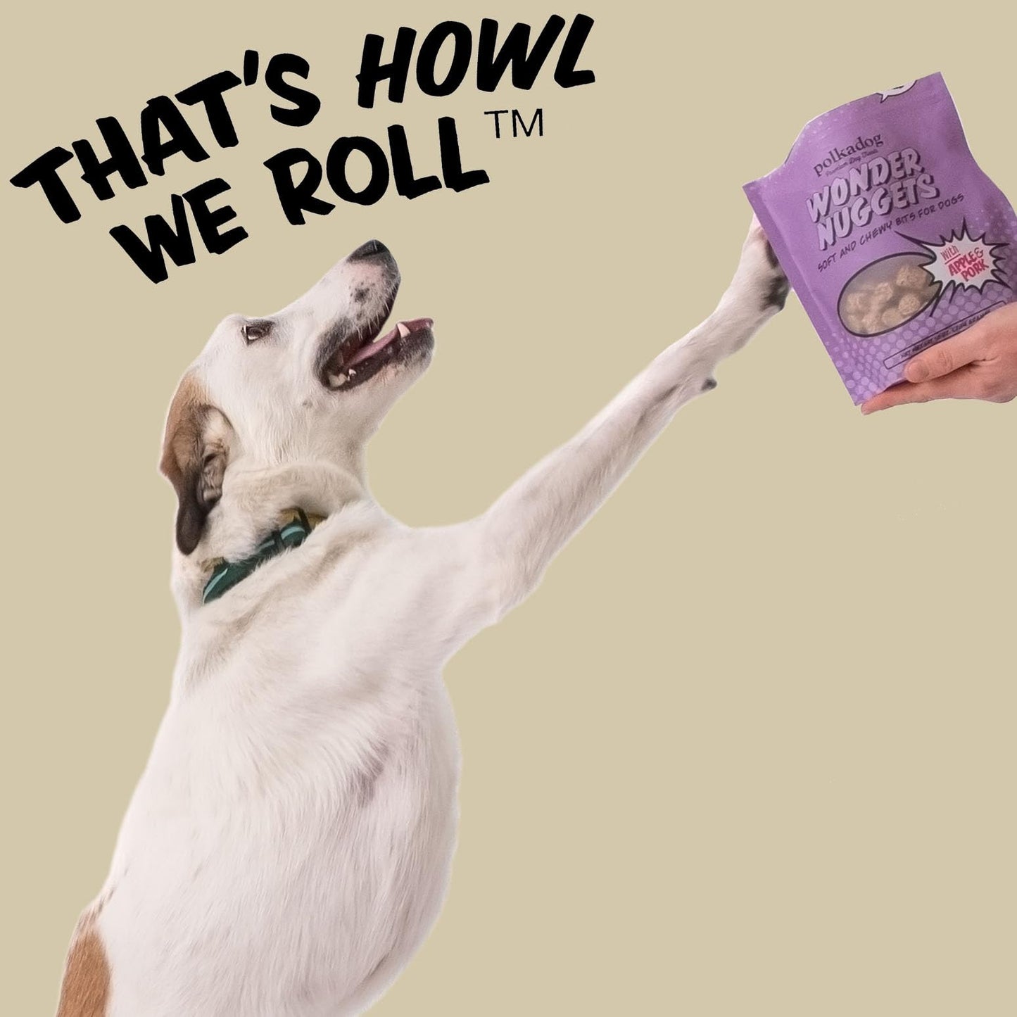 Polkadog Pork & Apple Wonder Nuggets Dog Treats – All-Natural Pet Training Treats for Dogs – Healthy, Handmade Puppy Snacks – Bite-Sized, Soft, Chewy Treats for Pets – 10oz