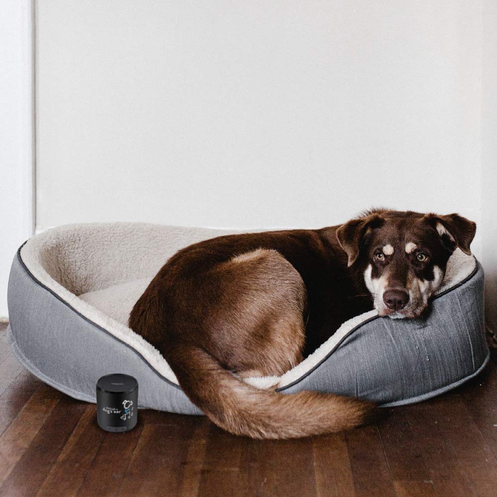 iCalmPet | Through a Dog's Ear: Canine Separation Anxiety | Training Program by Victoria Stilwell | MicroSD Card | 16-hrs | Clinically-Proven Music and Silence