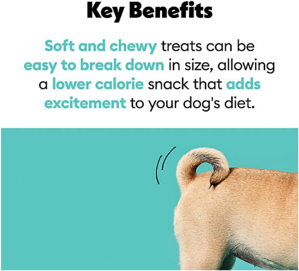 Covetrus Nutrisential Lean Treats for Large Dogs - Soft Dog Treats for Large Dogs - Nutritional Low Fat Bite Size - Chicken Flavor - 10oz