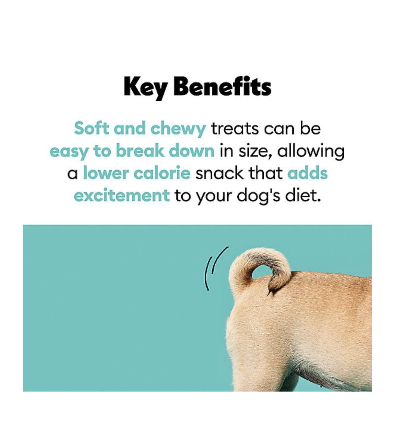 Covetrus Nutrisential Lean Treats for Large Dogs - Soft Dog Treats for Large Dogs - Nutritional Low Fat Bite Size - Chicken Flavor - 10oz