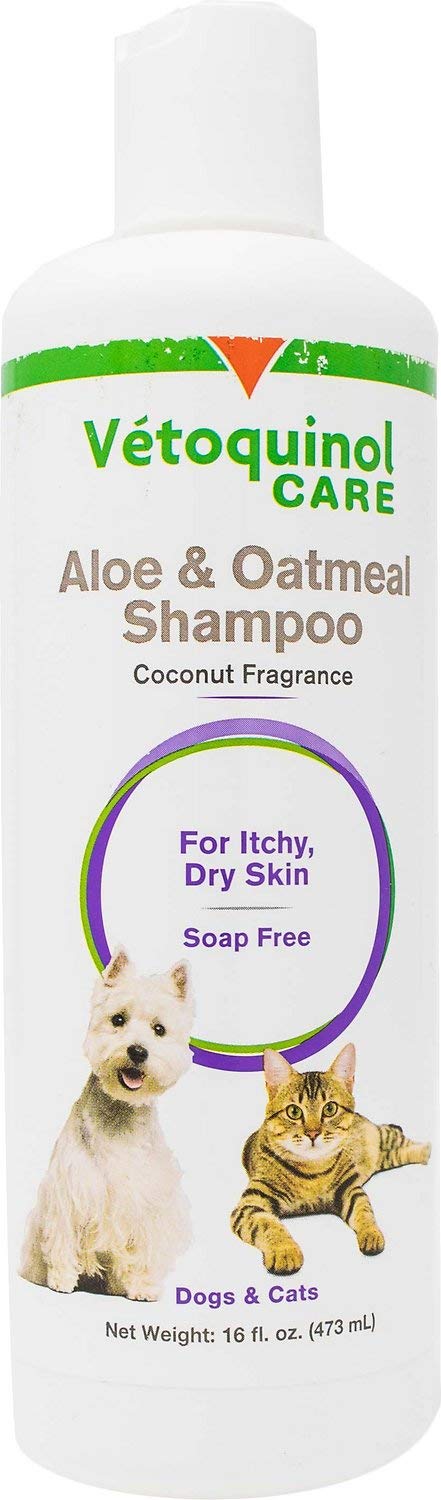 Vet Solutions for Itchy, Dry Skin Aloe & Oatmeal Soap-Free Dog & Cat Shampoo, 16 oz
