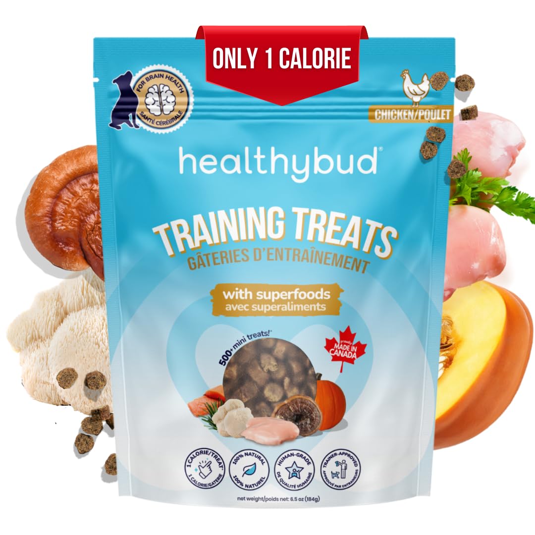 healthybud Mini Dog Training Treats - Beef Liver Soft Trainer Bites, 500+ Bits, 1 kCal per Bite, 6.5oz, Reishi, Lion’s Mane, Salmon Oil, Puppy Chews (Chicken)