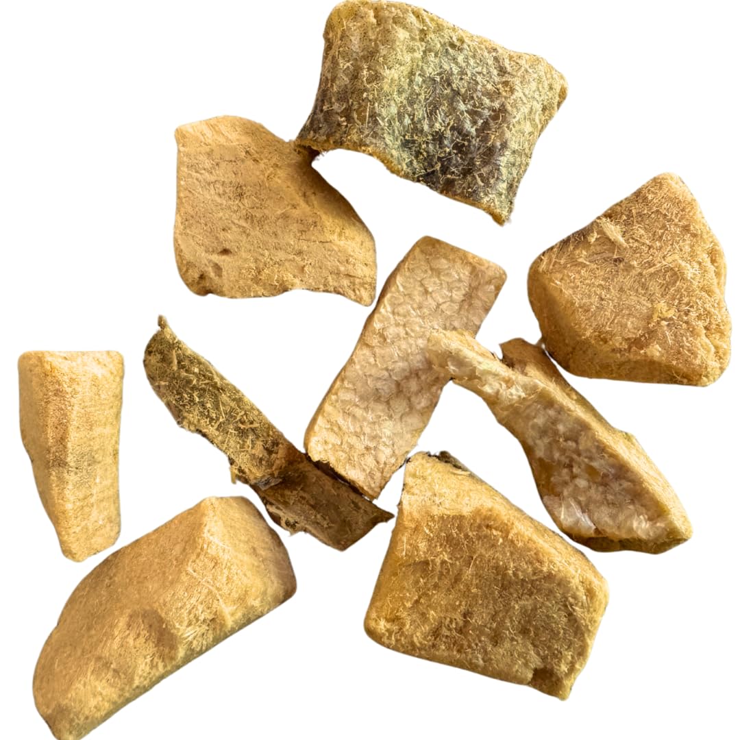 Freeze-Dried Salmon Dog Treats, Single-Ingredient, Wild-Caught Skin On Salmon, High-Protein, Grain & Gluten Free, Healthy Snack for Dogs, Made in USA, Great for Skin & Coat