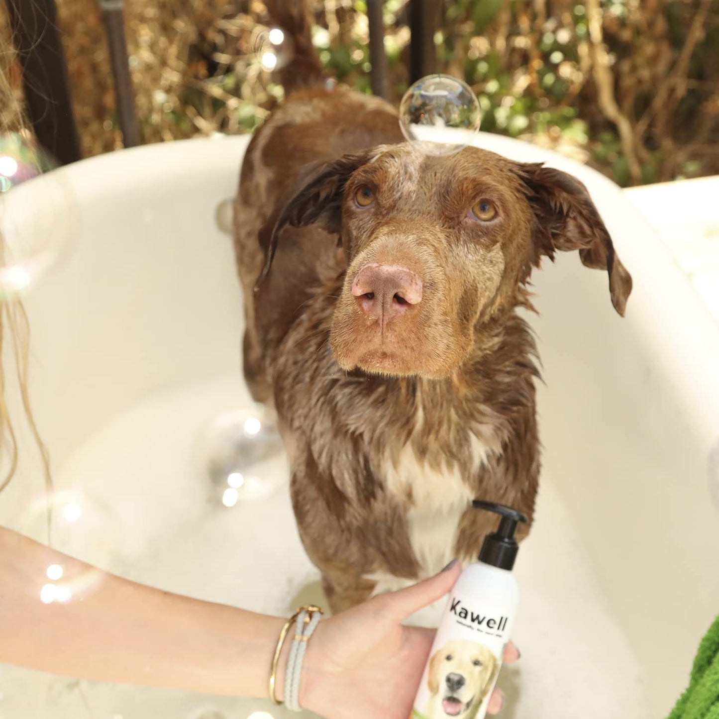 Kawell USA Natural Dog Shampoo for Dry Sensitive Itchy Skin, Hot Spots - Anti-Inflammatory, Antifungal, Anti-Shedding Grooming Shampoo with Matico Healing Properties - for Healthy Skin and Coats, 12oz