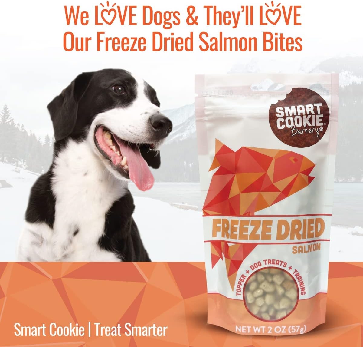 Smart Cookie Freeze Dried Salmon Bites - Single Ingredient Freeze Dried Treats for Dogs - Wild Caught Alaskan Salmon Dog Training Treats & Dog Food Topper - Made in USA - 2oz Bag, 3 Pack