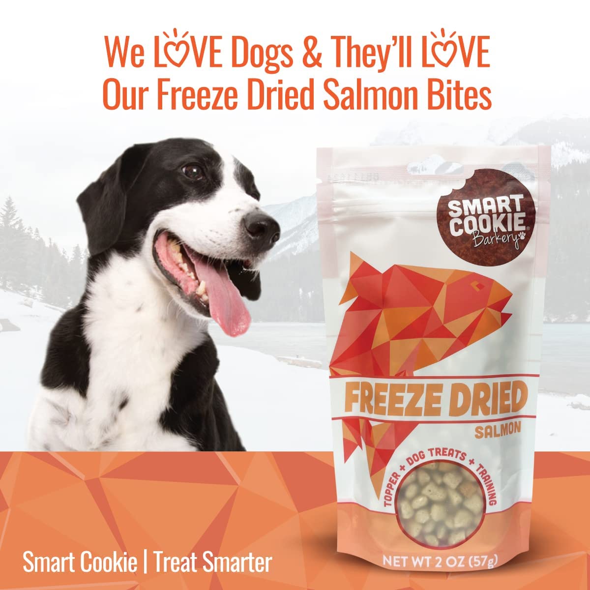 Smart Cookie Freeze Dried Salmon Bites - Single Ingredient Freeze Dried Treats for Dogs - Wild Caught Alaskan Salmon Dog Training Treats & Dog Food Topper - Made in USA - 2oz Bag, 3 Pack