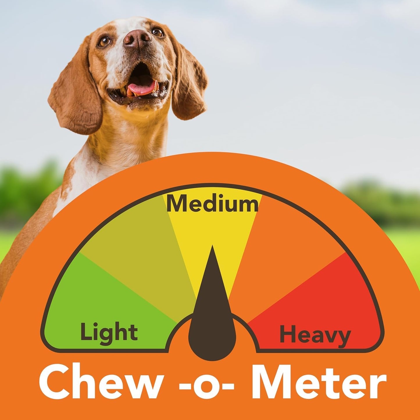 Gaines Pet Duck Feet for Dogs - 20 Count, Whole Dehydrated Duck Feet Dog Treats, USA Made, Natural Dental Chews with Collagen, Glucosamine & Chondroitin for Hip & Joint Health