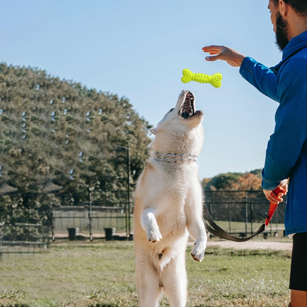 RUIFANDAHK Squeaky Toys Bone Shape Yellow Puppy Teething Toys Dog Toys for Aggressive Chewers Natural Rubber Chew Toys for Small/Medium Dogs Dog