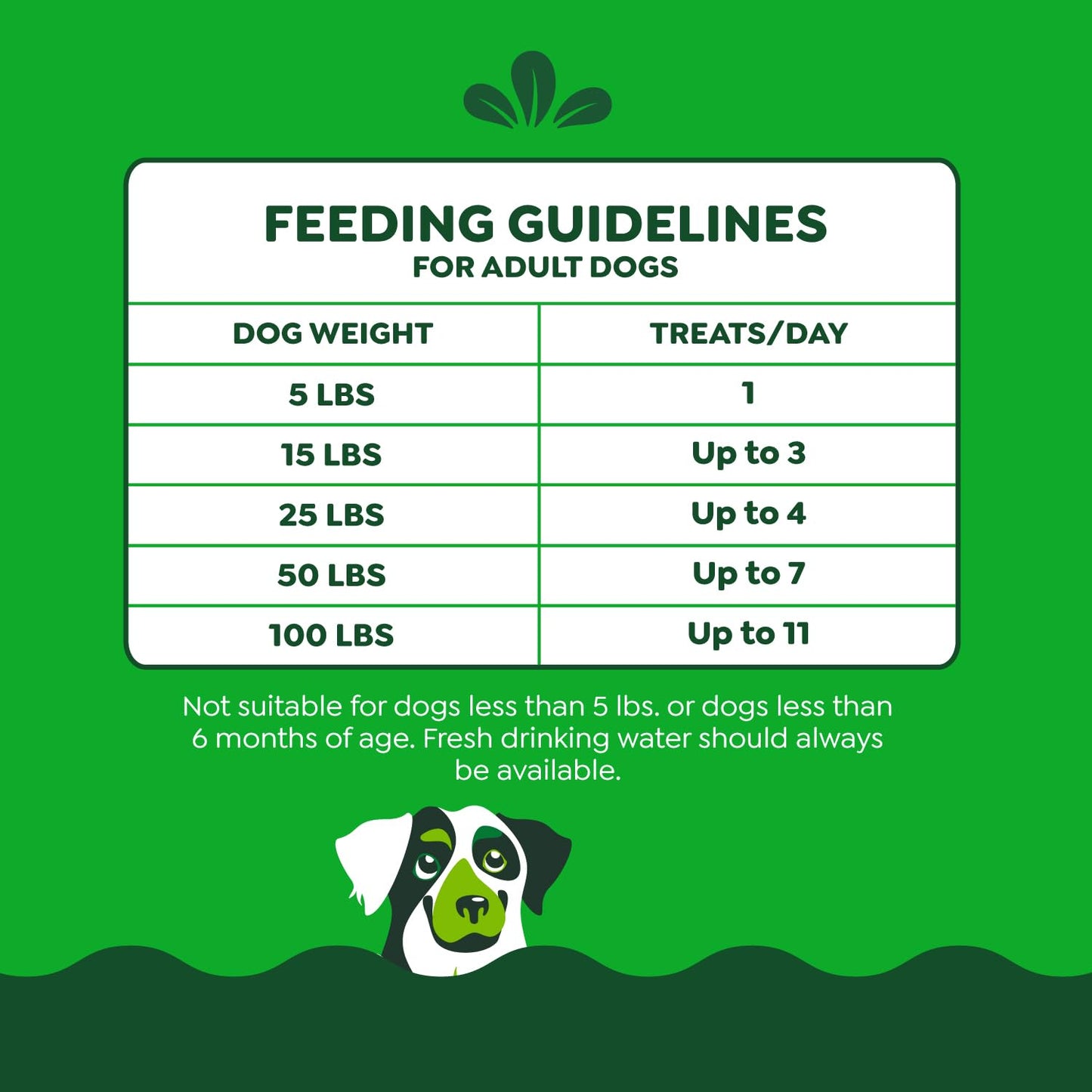 Greenies Anytime Bites Dog Treats, Mint Flavor, 10.3 oz. Bag