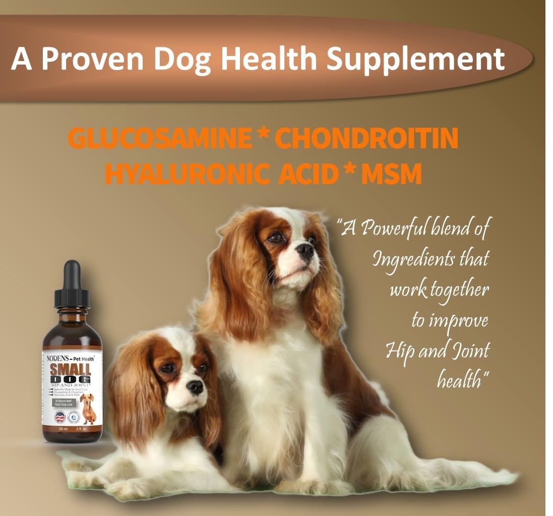 Nodens Cat Hip and Joint and Small Dog Hip and Joint 100% Natural Glucosamine for Cats and Small Dogs. Chondroitin, MSM, Hyaluronic Acid Arthritis Pain Relief for Cats and Dog Joint Pain. Made in USA