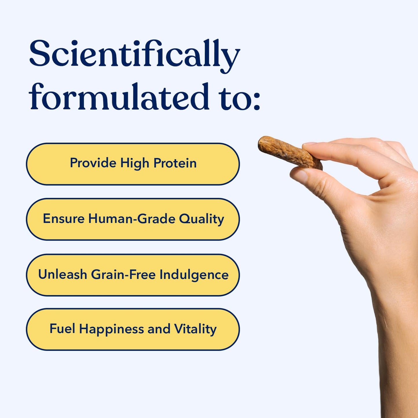 Honest Paws Dog Shampoo and Jerky Treats - Premium Dog Wash and Training Treats - Cleanse, Detangle, Condition, Moisturizing, and Deodorize - Human Grade Treats