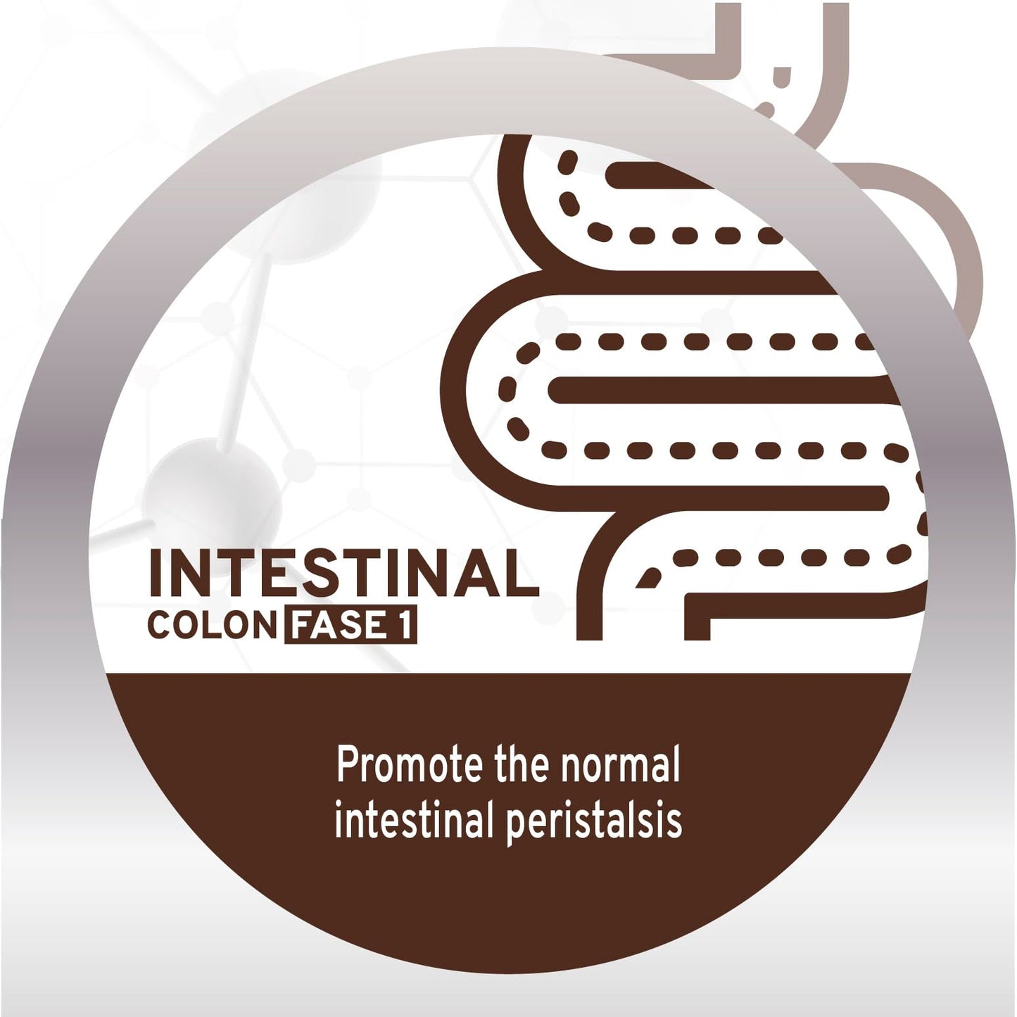 Forza10 Active Intestinal Colon Phase 1 Dry Dog Food 22 Pounds, Hydrolyzed Protein Dog Food, High Fiber 21% with Brown Algae, Intestinal & Colon Support for Adult Dogs, Limited Ingredient Formula