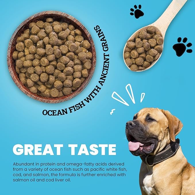 Muenster Ancient Grains Ocean Fish Dry Dog Food, 4lb - Gluten-Free, High Protein, Digestive Support
