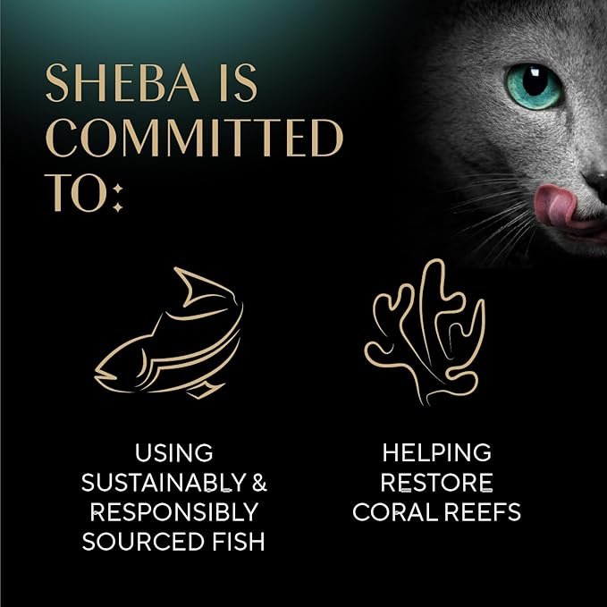 Sheba Perfect Portions Wet Cat Food Cuts in Gravy Variety Pack, Roasted Chicken Entree, with Sustainable Salmon, and Tender Turkey Entree, 2.6 oz. Twin-Pack Trays (24 Count, 48 Servings)