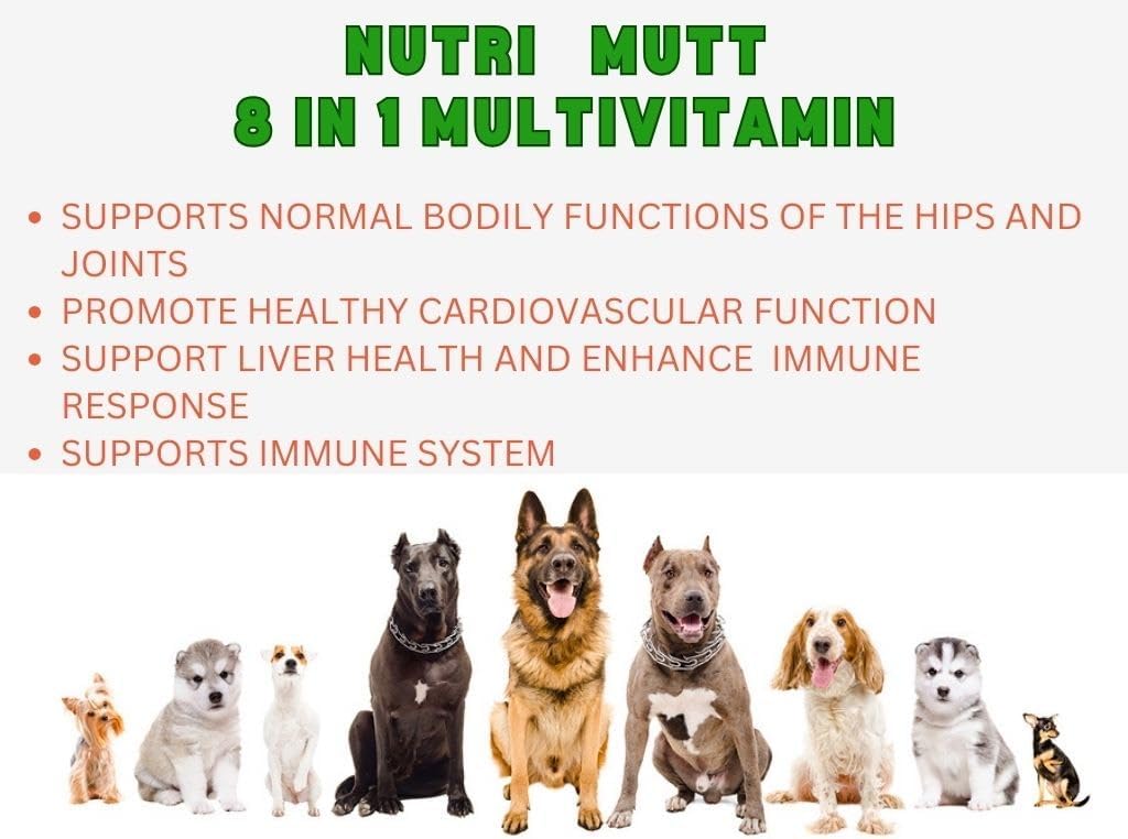Dog Multivitamin Chews – 8-in-1 Supplement with Glucosamine, Probiotics, Omega, Enzymes – Joint, Skin, Coat, Immune & Digestion Support – Natural Chicken Flavor – 120 Soft Chews