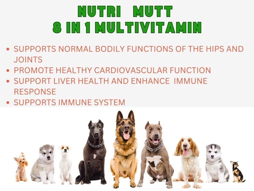 Dog Multivitamin Chews – 8-in-1 Supplement with Glucosamine, Probiotics, Omega, Enzymes – Joint, Skin, Coat, Immune & Digestion Support – Natural Chicken Flavor – 120 Soft Chews