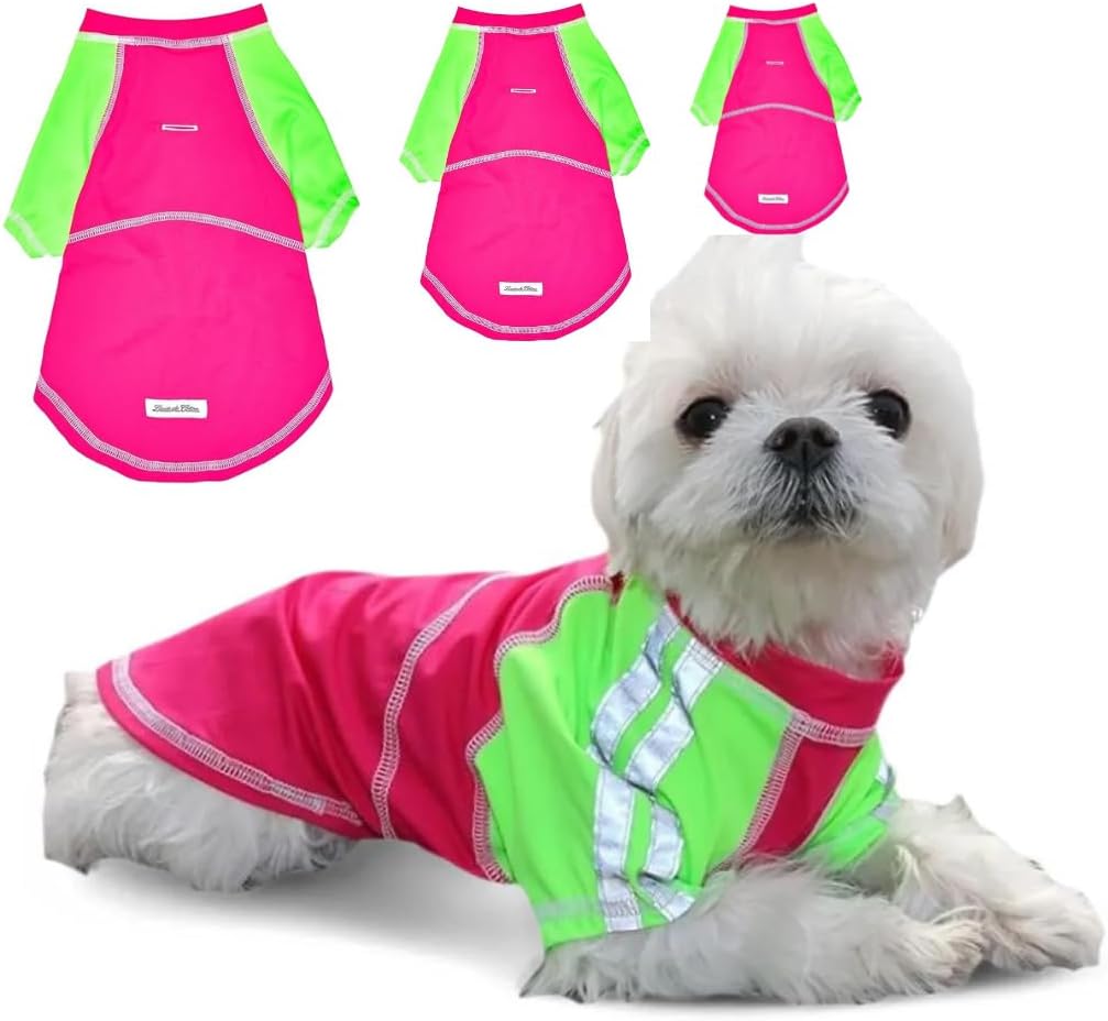 BADQIAO Pet Olfactory Feeding pad Dog cat Interactive Puzzle Toy Natural Foraging Tool (4 Color)