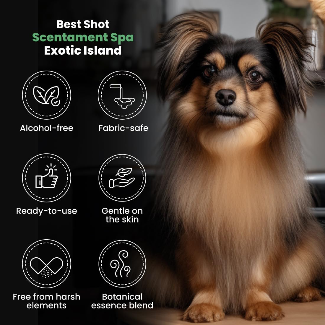 Best Shot Scentament Spa Botanical Body Splash, Detangler Spray, Hypoallergenic Body Spray for Pets, Cat and Dog Cologne Spray, Exotic Island, 8 Oz.