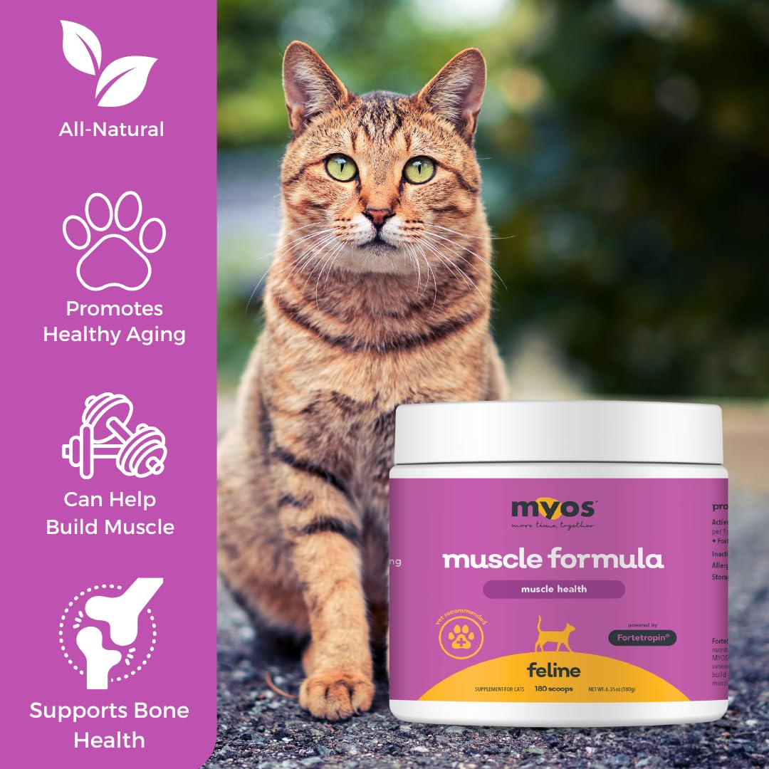 MYOS Feline Muscle Formula - Powered by Fortetropin for Senior Cats - Aids Weight Gain, Muscle Growth & Mobility Support - Natural, Cat Nutritional Supplement - 180 Servings