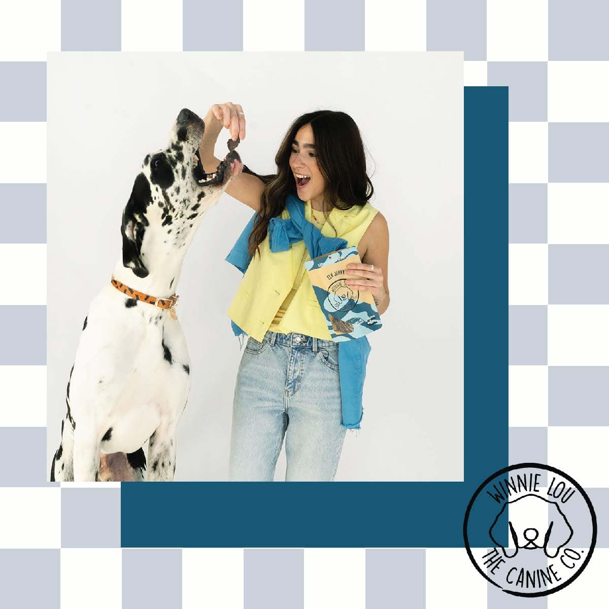 Winnie Lou Elk Jerky Dog Treats – Limited Ingredient, Human Grade, Training Treats for Small, Medium & Large Dogs, Made in USA (1 Pack)