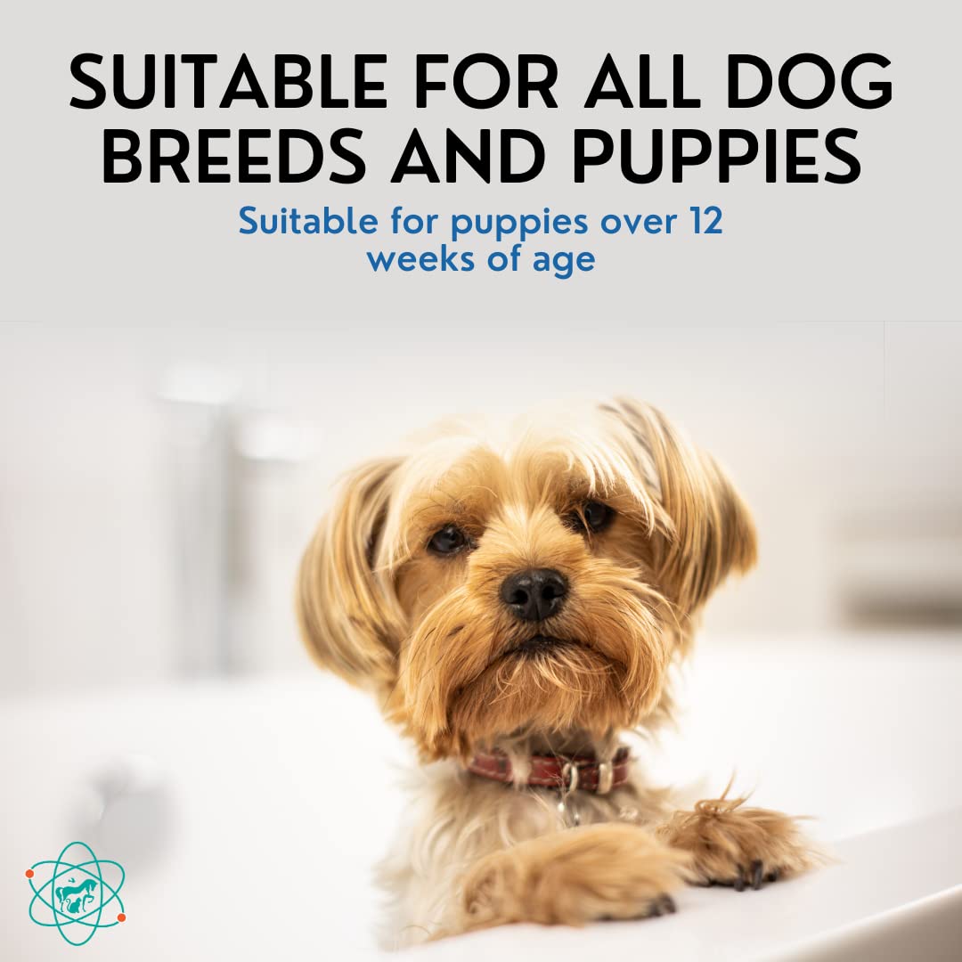 PET CARE Sciences 16 floz 5 in 1 Dog Shampoo for Itchy Skin - Sensitive Skin Dog Shampoo for Smelly Dogs - Dog Shampoos & Conditioners - Made in The USA