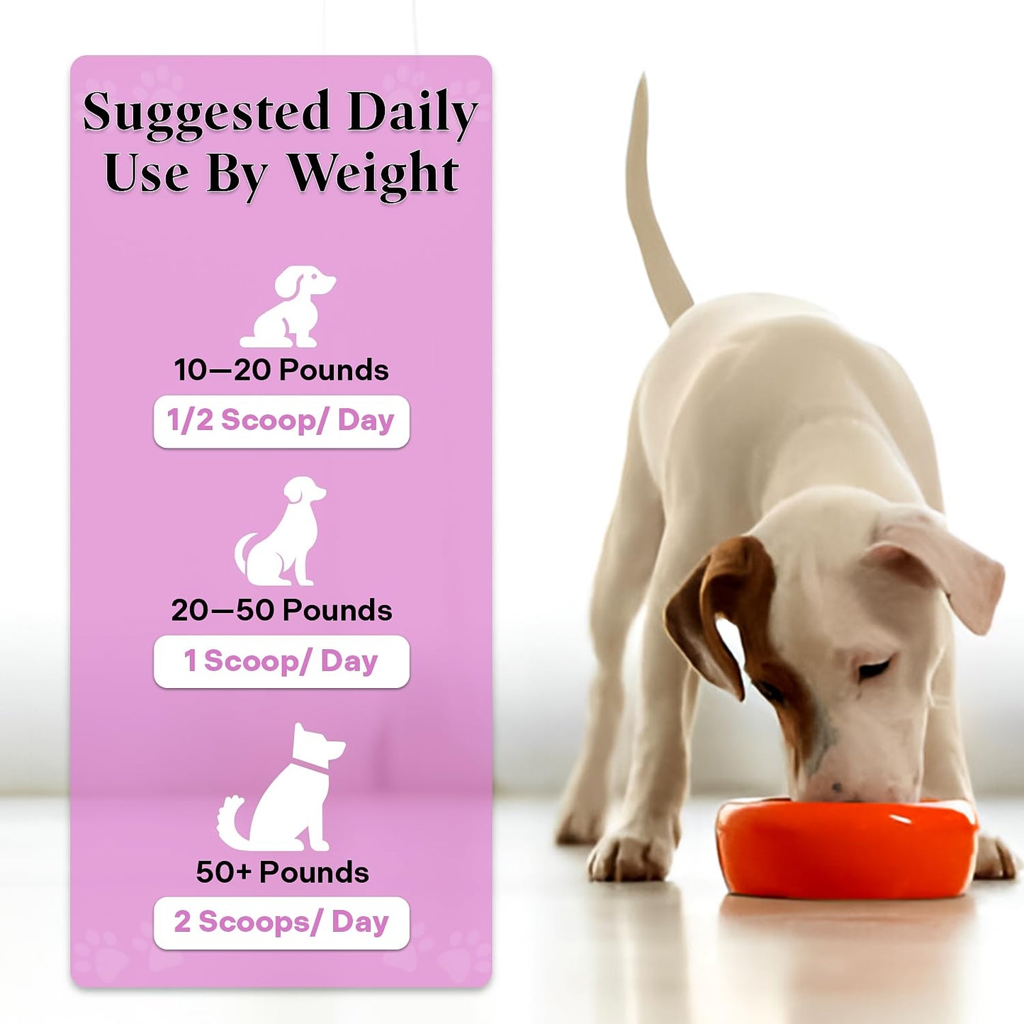 Healthy Dogma - Peaceful Pooch | Powder Calming Supplement for Dogs Dealing with Anxiety, Separation Stress, Noise, Thunder and Barking (6 Oz)