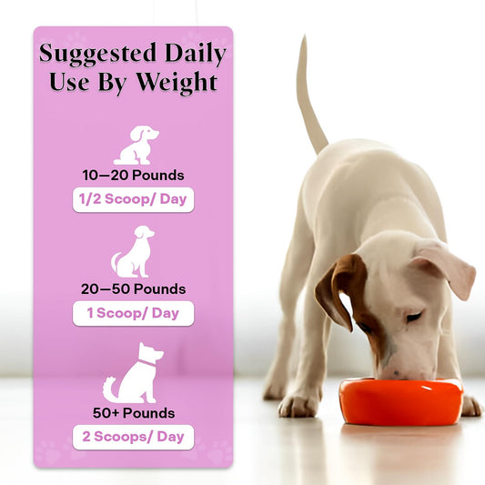 Healthy Dogma - Peaceful Pooch | Powder Calming Supplement for Dogs Dealing with Anxiety, Separation Stress, Noise, Thunder and Barking (6 Oz)