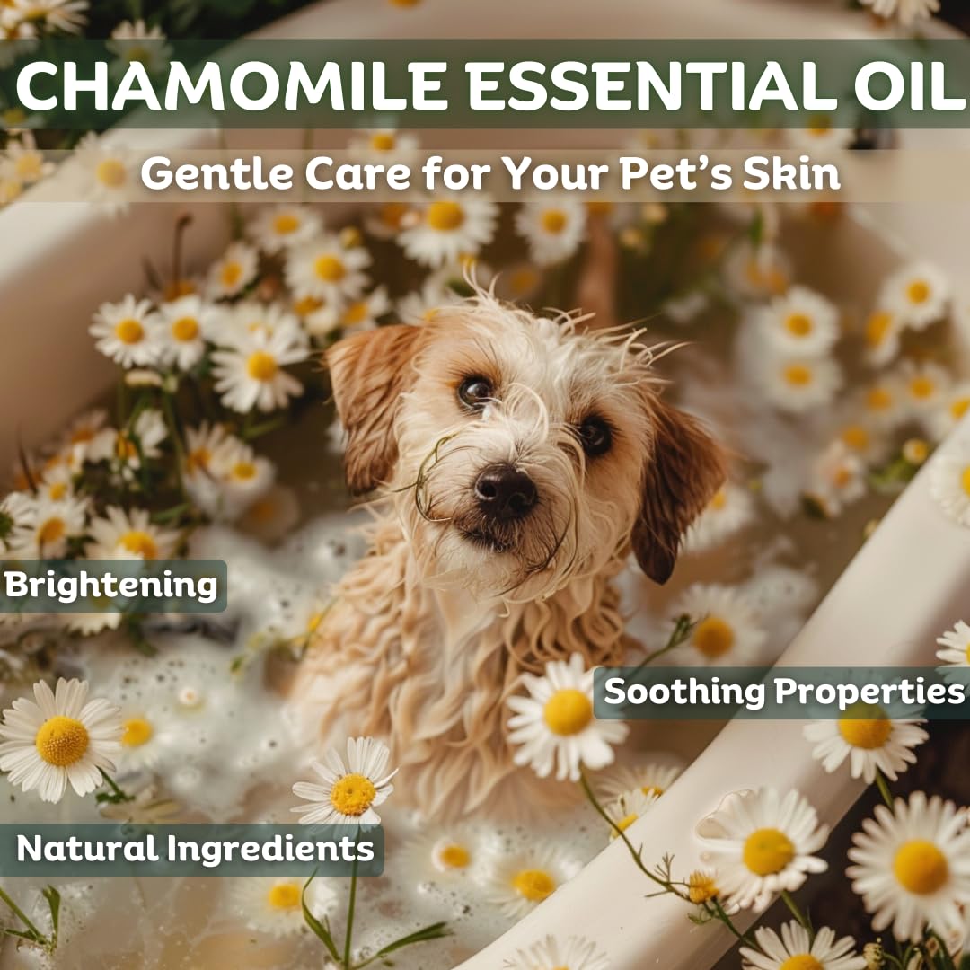 TINOQ Hypoallergenic Dog Shampoo Bar Soap for Sensetive Skin | Natural Ingredients with Chamomile & Green Tea | 3 Bars