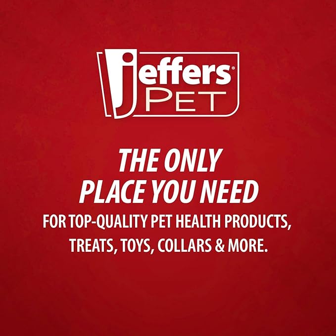 Jeffers Pet Nature's Best Cedar Shampoo for Dogs & Cats – Natural Detergent & Soap Free Formula with Cedarwood Oil, Eucalyptus & Aloe – Moisturizing, Deodorizing, Fresh Coat – 17 oz