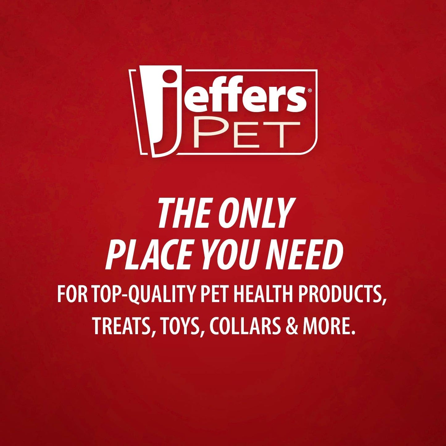 Jeffers Pet Nature's Best Cedar Shampoo for Dogs & Cats – Natural Detergent & Soap Free Formula with Cedarwood Oil, Eucalyptus & Aloe – Moisturizing, Deodorizing, Fresh Coat – 17 oz