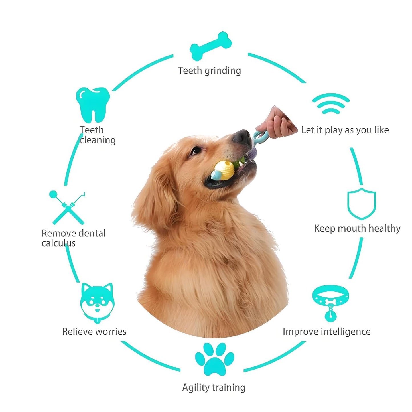M-Xeotei Dog Toys Chewers Chew-Proof Interactive Dog Toy -Indestructible Chew Toys for Aggressive Chewers, Teething Puppies & Large Breeds – Durable Treat Holder to Keep Dogs Busy & Reduce Anxiety