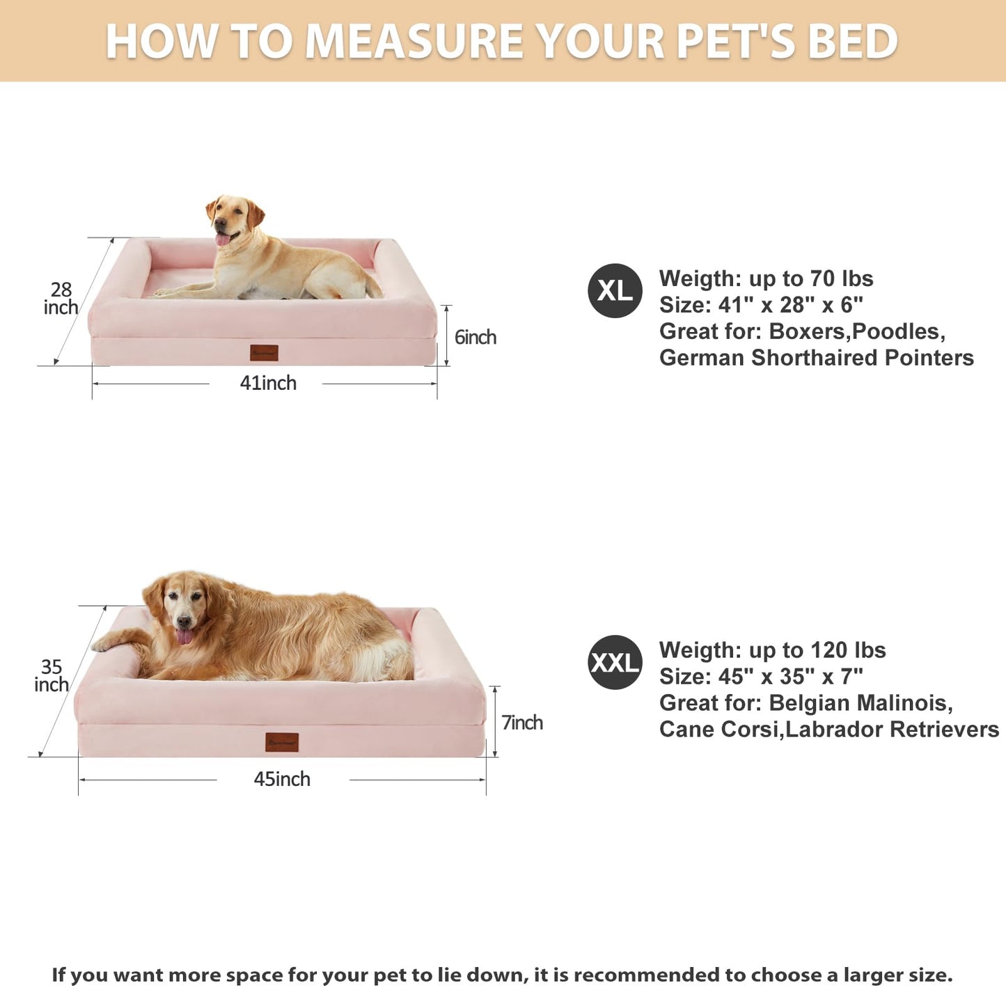 BFPETHOME Dog Beds for Small Dogs, Washable Dog Bed with Sides, Orthopedic Small Sized Soft Mats with Removable Cover & Waterproof Pet Mat for Pet