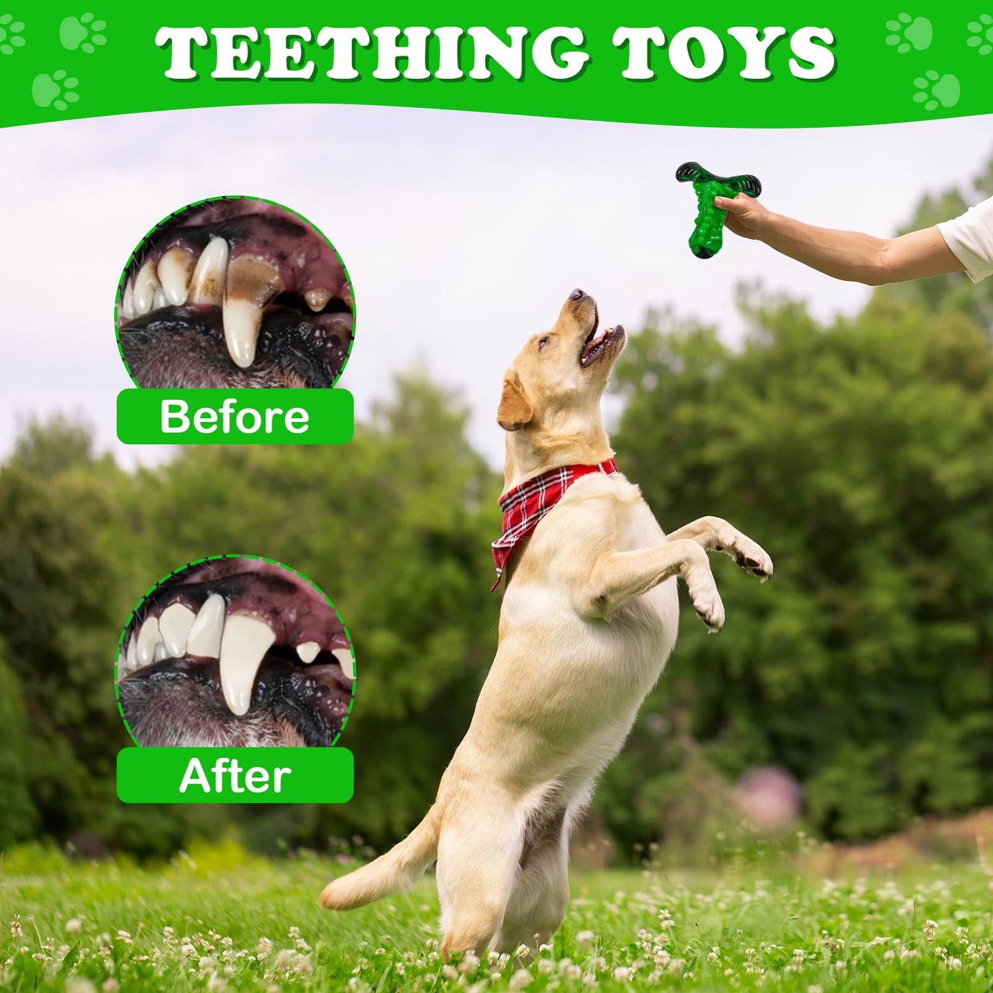 Apasiri Aggressive Chewers Dog Chew Toys: Tough Dog Toys for Aggressive Chewers Large Breed, Indestructible Dog Toy for Aggressive Chewers