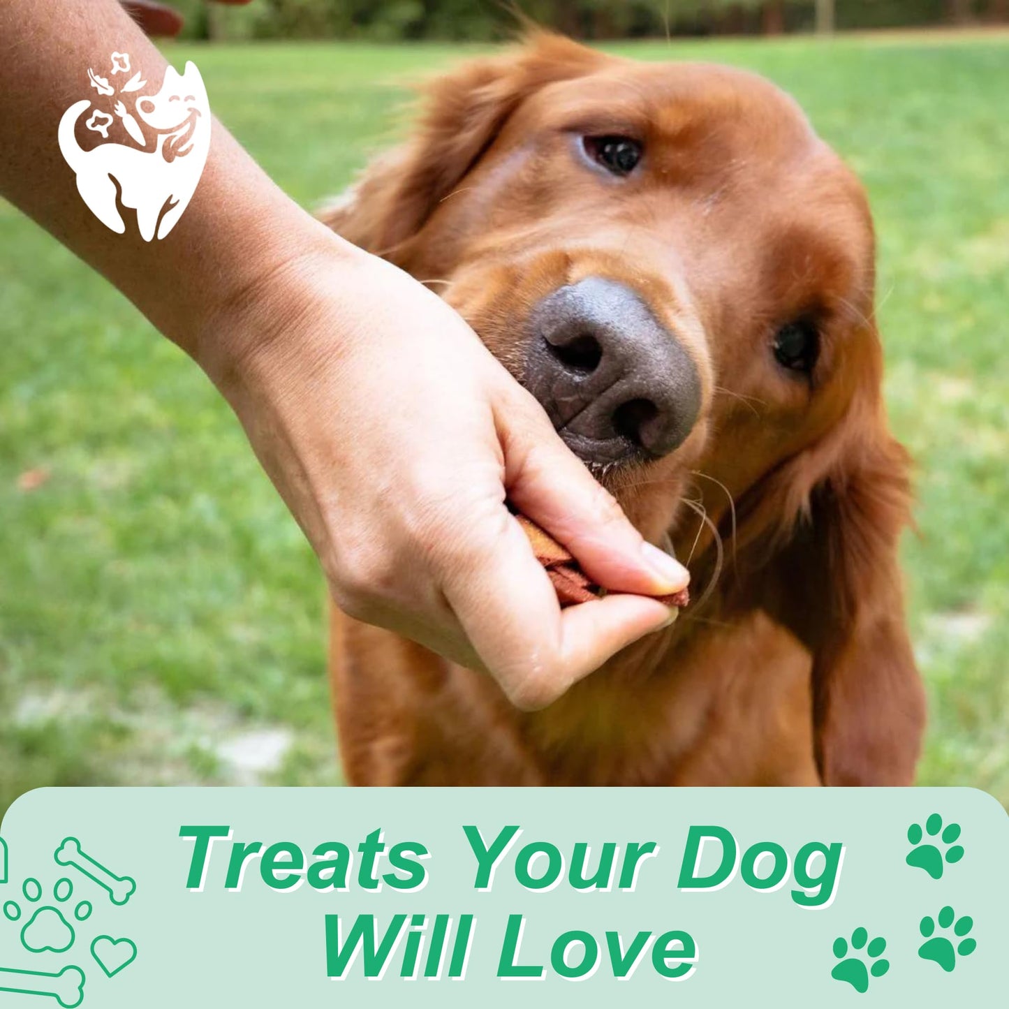 Vivus Pets Vegan Dog Treats - Smokey Maple Bacun Bites for Gut Health and Skin Coat with All Natural, Allergen Free & Human Grade Ingredient - Suitable for All Breeds, 5.3 Oz