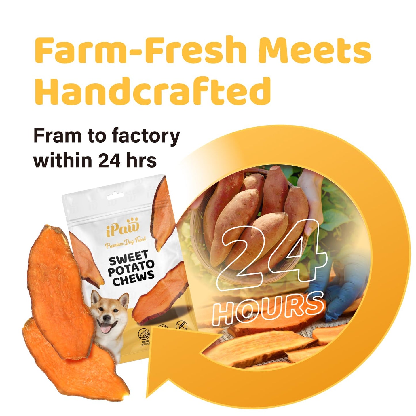 iPaw Sweet Potato Chews, Single Ingredient Dog Treats for Vegetarian, All Natural Human Grade Puppy Chew, Rawhide Alternative, Hypoallergenic, Easy to Digest