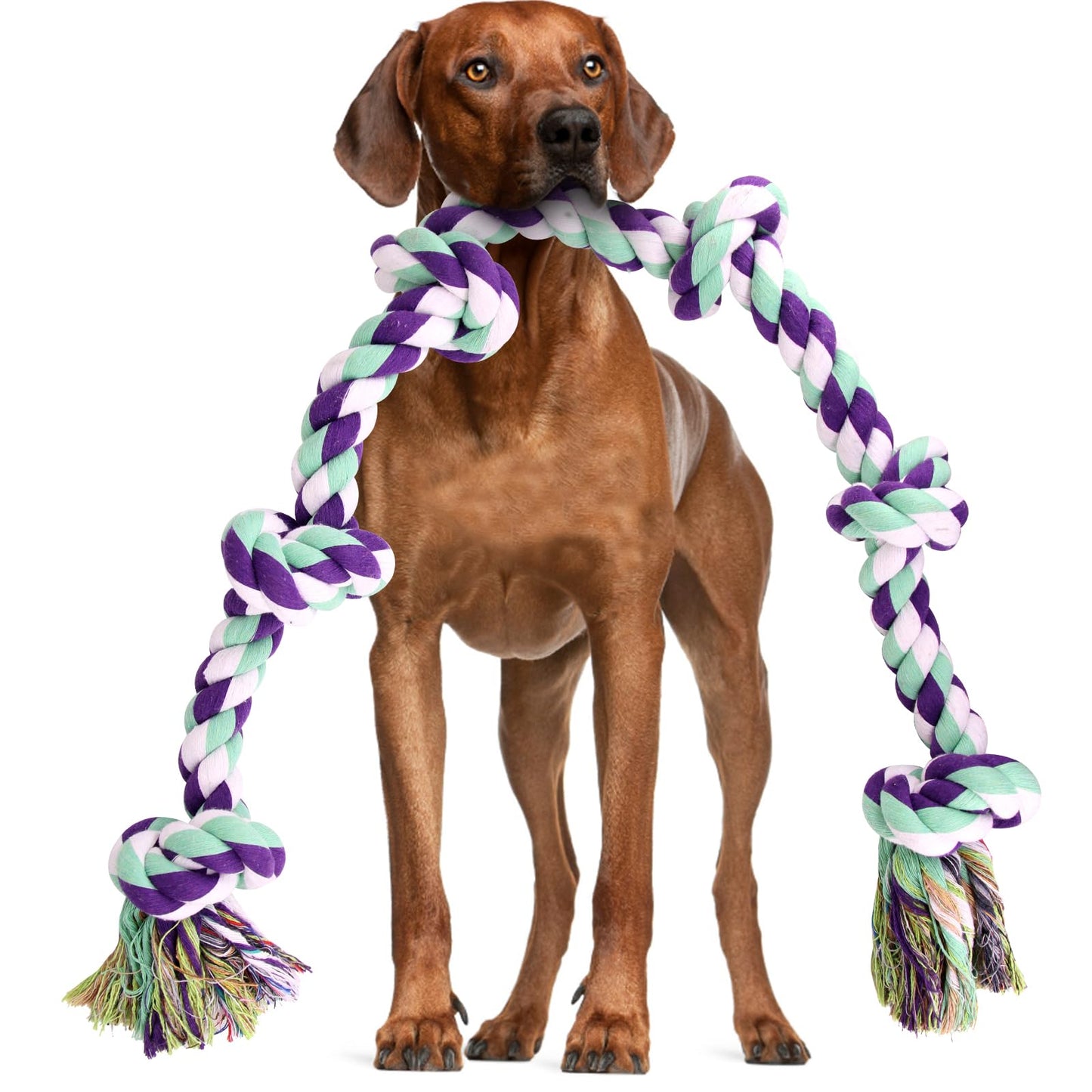 Mammoth Flossy Chews Multi Color 5 Knot Rope Tug – Premium Cotton-Poly Tug Toy for Dogs – Interactive Dog Rope Toy – Tug Dog Chew Toy for Big Dogs - X-Large, 36”