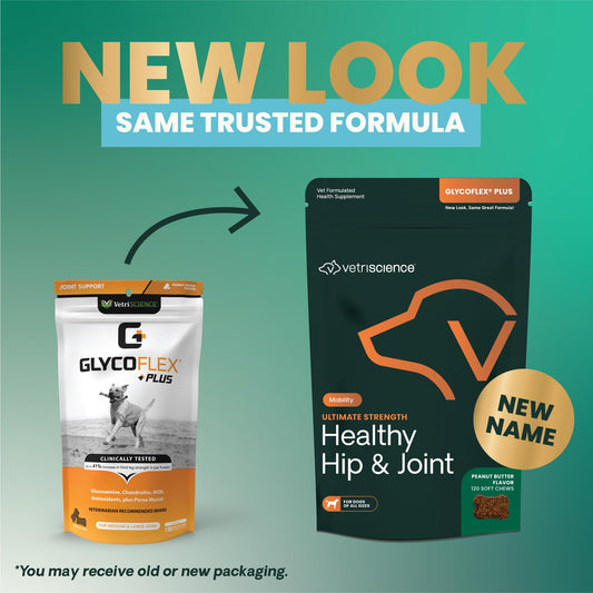 VetriScience Ultimate Strength Healthy Hip & Joint Chews, GlycoFlex Glucosamine, Chondroitin & Green-Lipped Mussel Joint Support Supplement for Dogs, Soothe Joint Discomfort, Peanut Butter, 120 Count