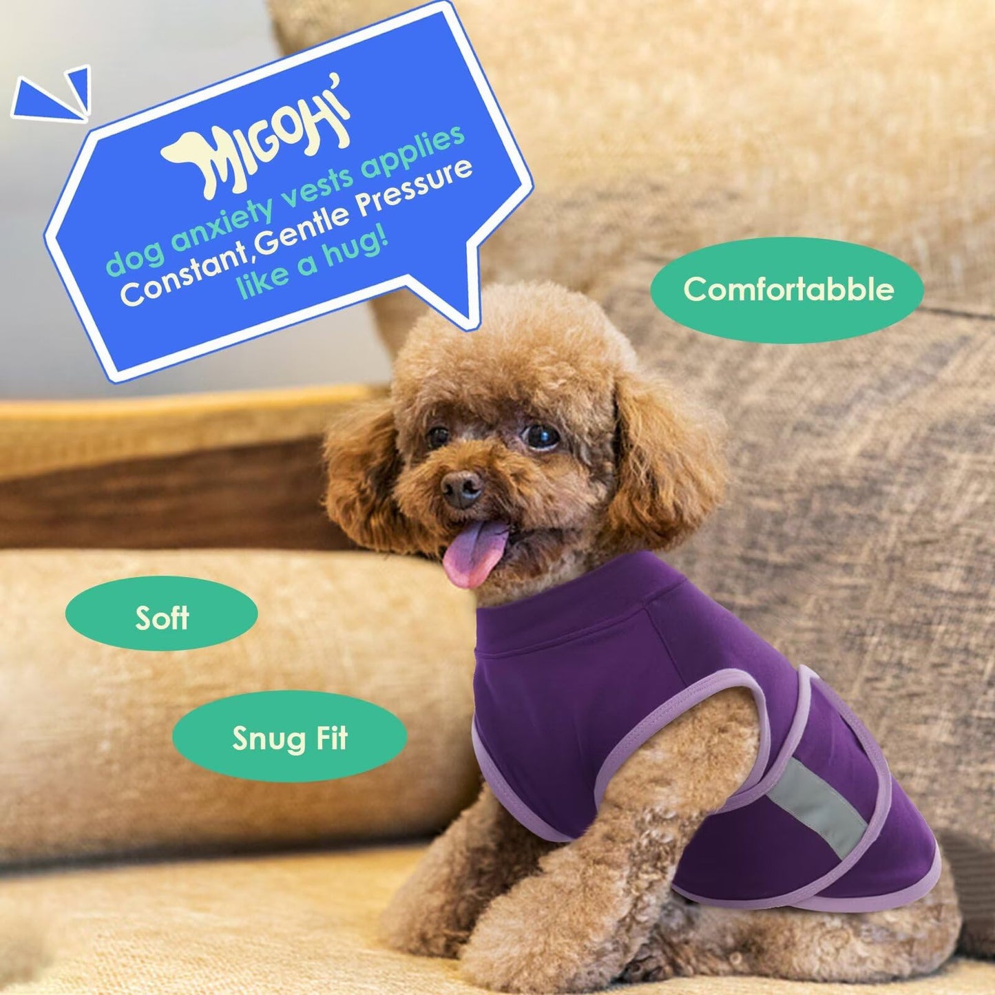 STELLAIRE CHERN Small and Large Breed Interactive Sniff Mat for Slow Eating Keep Busy Stress Relief Dog Mental Stimulation Toys Snuffle Mat for Dogs, Spliced Three-in-one