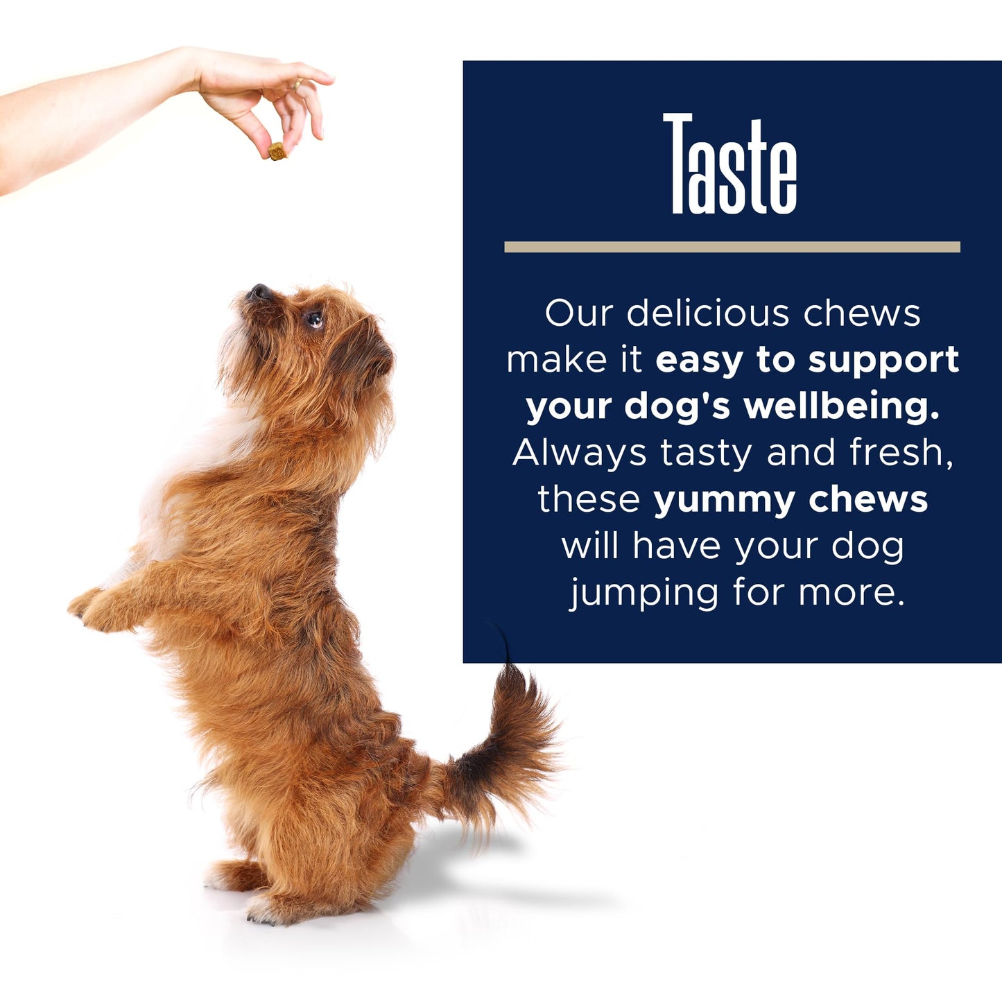 Calming Chews for Dogs with Melatonin - 60 Delicious Soft Treats for Dog Anxiety Relief for Large and Small Dogs - Includes Chamomile, Thiamine, L-Tryptophan - Promotes Rest and Relaxation