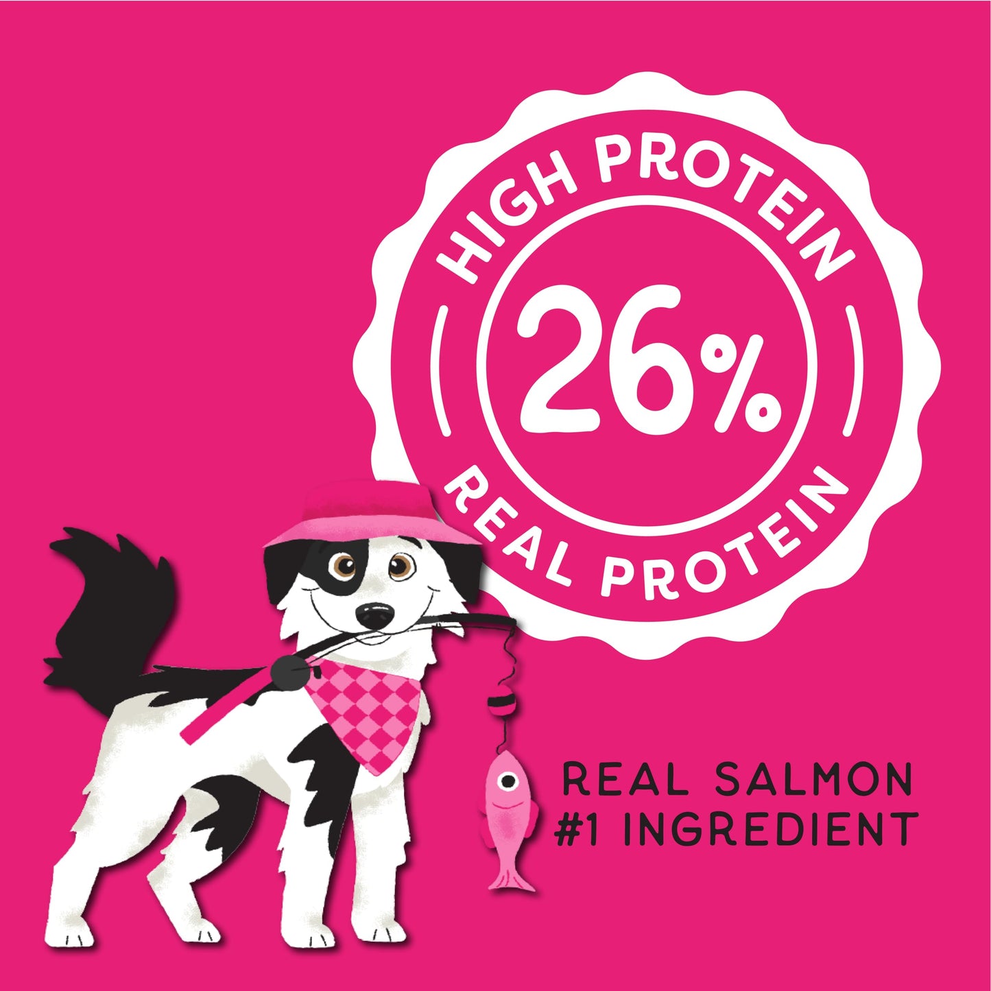 CHAMPS Soft Healthy Dog Treats for Skin & Coat Support Made with Omega 3, Biotin & Flaxseed - Grain Free Salmon - 16 oz