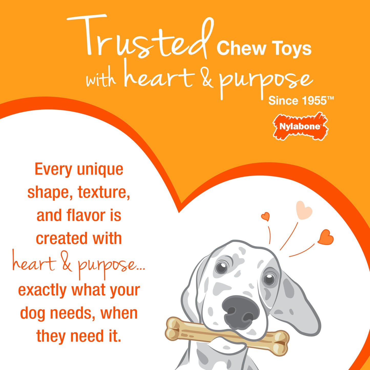 Nylabone Textured Teething Bone Puppy Chew Toy, Soothing Puppy Teething Bone, Enrichment Toy for Puppies, Pink, Chicken Flavor, X-Small Dogs - Up to 15 Ibs, 1 Count