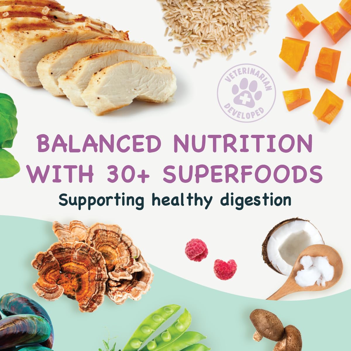 Health Extension Little Bites Chicken & Brown Rice Puppy Food – 3.5 lb Bag – Fresh Chicken First Ingredient with 30+ Superfoods – Natural, Complete & Balanced Nutrition for Small Breed Puppies