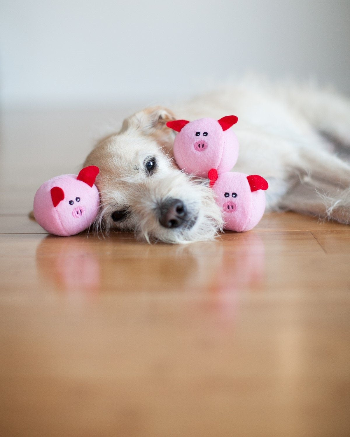 ZippyPaws Burrow- Interactive Dog & Puppy Toys for Boredom, Stimulating Pet Products to Keep Them Busy, Hide & Seek Plush Dog Puzzles, Squeaky Toy for Enrichment, for Small & Medium Dogs- Pig Barn