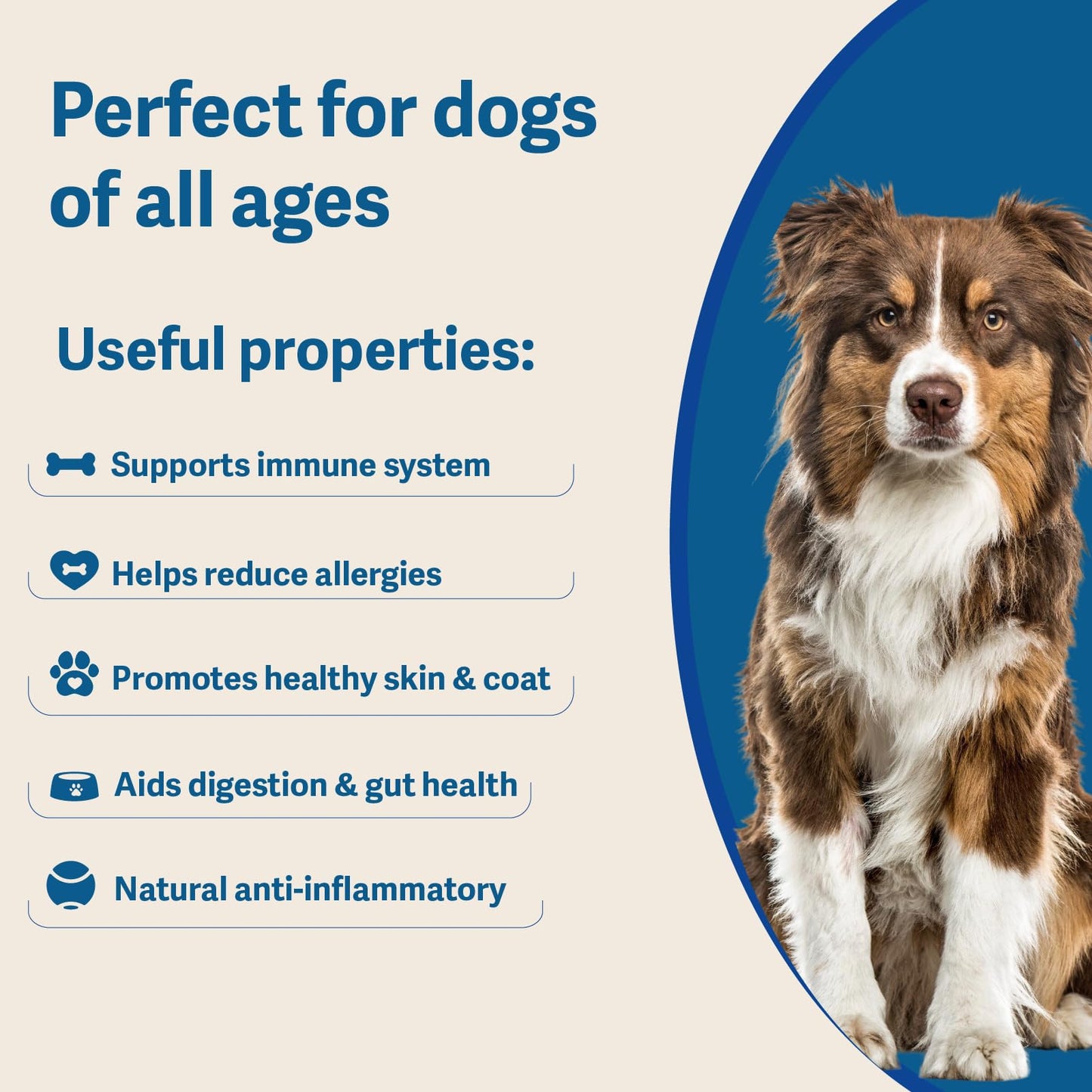 Allergy & Immune Support for Dogs – Soft Chews with Colostrum, Quercetin, Salmon Oil, Hemp Seed Oil, Vitamin C, Turmeric, Bromelain, Probiotics – Itchy Skin Relief, Seasonal Allergy Chews