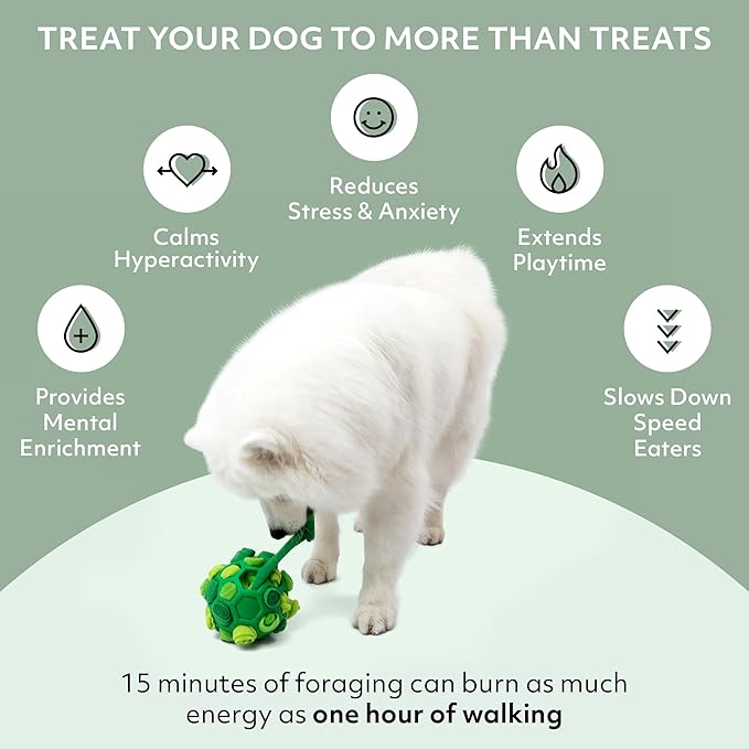 Reggie Forager Ball for Dogs | Mealtime Enrichment Toy | Reduces Boredom, Hyperactivity, Stress | Vet-Approved & Ideal for All Ages, Breeds, and Sizes (Forager Ball - Turkey & Pumpkin)